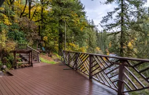 Welch Cabin <A License to Chill>                 ~we LOVE dogs~ - Image 5