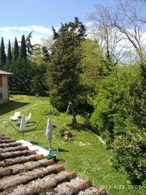 Detached cottage surrounded by greenery with a park. - Image 4