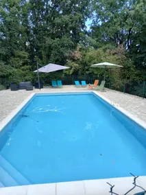 Beautiful villa in a large park with pool. - Image 4