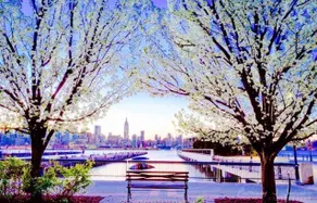 Spacious Home Steps From NYC | Free Parking - Image 4