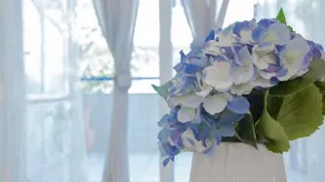 Luxury City Center Apartment - Image 2