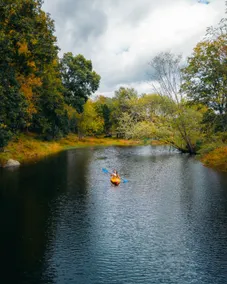 Dog Heaven on 50 Acres with Private River Access - Image 4