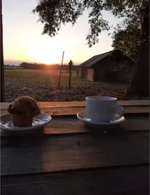 Sunset Hilltop Farm - Image 3