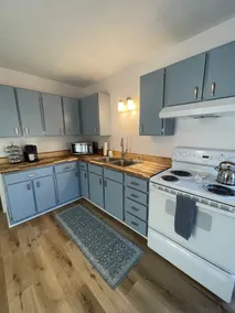 Cozy 2BD Cottage-Pet Friendly-Near Ford Center - Image 4
