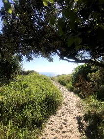 Cabarita Beachfront - Image 3