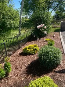 Acadia retreat- private, peaceful, 3bedroom, 2bath - Image 5