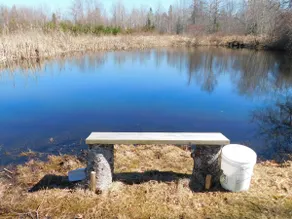 Acadia retreat- private, peaceful, 3bedroom, 2bath - Image 4