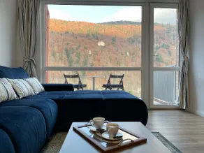 ★New Spacious Apartment with a Great Mountain View - Image 2