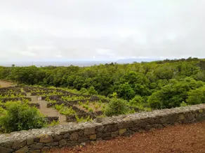 Boanova vineyard house is a rural romantic cottage - Image 5