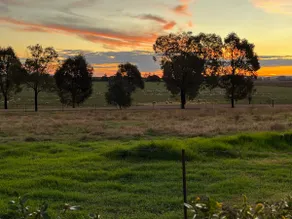 Chaffcutters Cottage - Pet friendly cottage in idyllic rural setting. - Image 3
