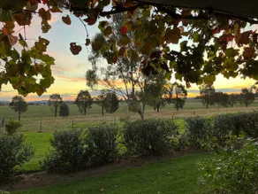 Chaffcutters Cottage - Pet friendly cottage in idyllic rural setting. - Image 2