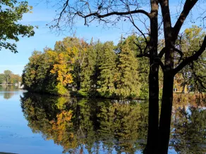 Romantic 1 BR Lakeside Cottage w/ KING BED - Image 3