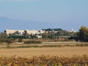 Petit Cocon - Image 4