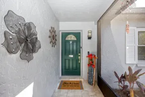 Modern house heated pool near TPA Clearwater Dunedin Palm Harbor - Image 2