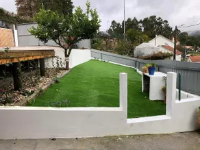 Lemon Tree House - Image 4
