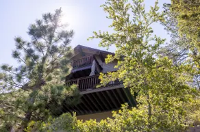 Treetop Hideout · On 2.5 Acres of Private Forest - Image 3