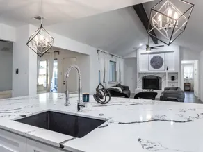 Carrollton high end remodel /yard - Image 3