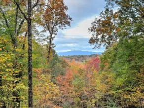 Welcome to Stuart Mountain Hideaway! - Image 4