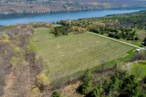 2br Chalet with Hot Tub on a 30+ acre vineyard - Image 3