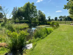 Le Jardin des Sens - Image 2