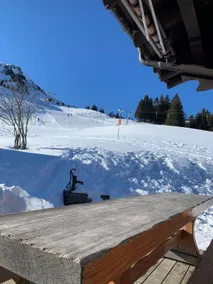 Beautiful chalet on the slopes - Image 3