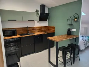 Entire studio with independent entrance - Image 4