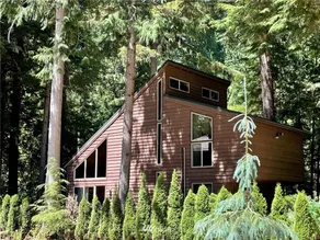 Skyline Cabin–Mt Baker cabin with hot tub - Image 2