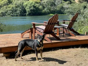 Riverfront cottage w/ hot tub, lush gardens, privacy & river access, pets ok! - Image 3