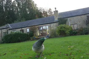 Lakewood Courtyard Northumberland - Image 2