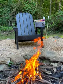 Family friendly cabin, Screened porch, Fire pit - Image 2