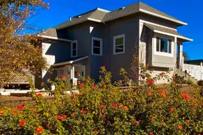 Cozy-lush cottage nestled next to the San Fran Bay - Image 3
