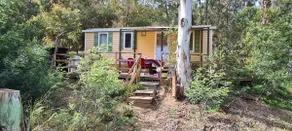 Bungalow T.XL 8, sea view - Image 3