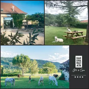 HAKUNA MATATA Gite & Spa Savoie - Image 5