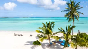 Sand Dollar Unit: Sandy Isle Escapes -formally Shoreline Beach Club - Image 3