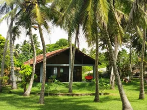 Ocean Cottage - Sea View - Image 4
