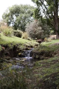 Yoho - dreamy nature retreat with stunning views - Image 2