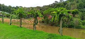 Luciano's Bed & Breakfast - Image 4