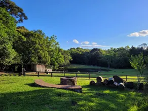 Sítio Ackermann - A refuge in the Serra Gaucha - Image 2