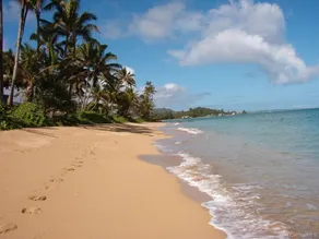 ”Sand & Seashore Beachfront Living” Views for Days - Image 5