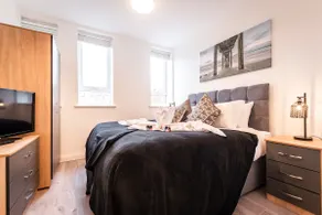BEST PRICE-Superb City Aptm. Singles/Kings Beds - Image 3