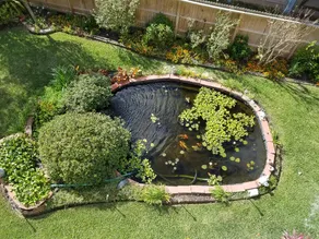 The Seahorse Apt - Lakeside and 2 blocks to the Beach - Image 5