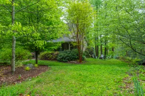 Beautiful Asheville House in the Trees - Image 4