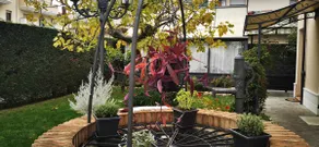 Appartamento Florinella - Image 5