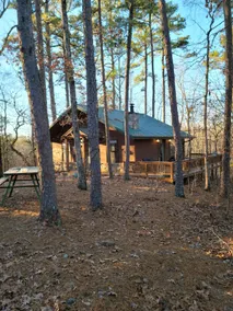 Secluded Cabin in the Forest at Raspberry Retreat - Image 5