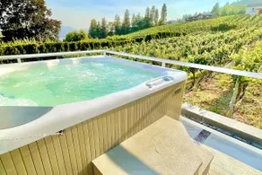 Year-Round Heated Pool, Hot Tub, Private Vineyard, Lake Views - Image 4
