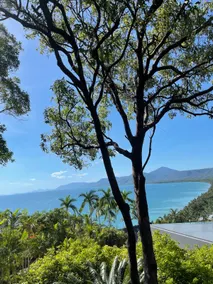 Tropical Palms Port Douglas - Image 3