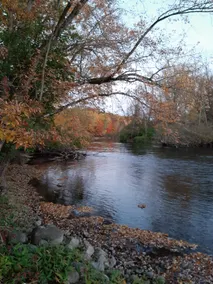 Three acres on the Muskegon River with sauna. - Image 4