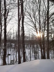 Three acres on the Muskegon River with sauna. - Image 5