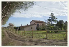 Il Riccio sul Lago - Image 2