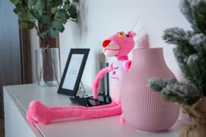 FLH - Pink Panther - Image 3